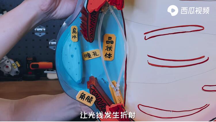 如何近视的方法(眼睛怎样一步一步变近视的)-2 如何近视的方法(眼睛怎样一步一步变近视的)