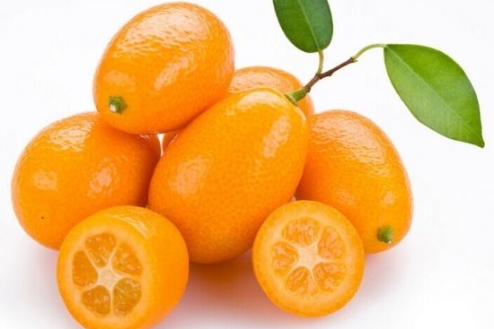 金桔的功效与作用（你知道它的功效和药用价值吗）-1