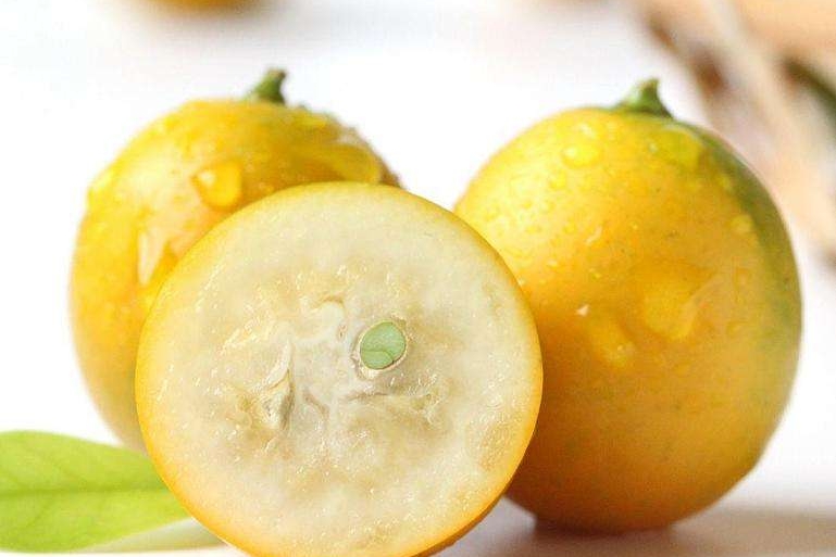 金桔的功效与作用（你知道它的功效和药用价值吗）-7