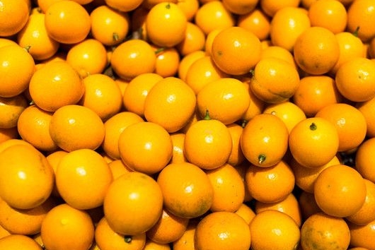 金桔的功效与作用（你知道它的功效和药用价值吗）-10