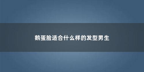鹅蛋脸适合什么样的发型男生