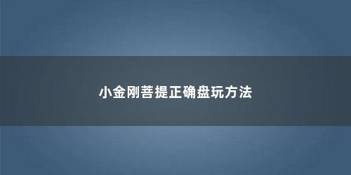 小金刚菩提正确盘玩方法