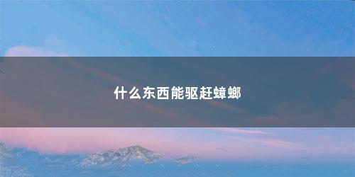 什么东西能驱赶蟑螂