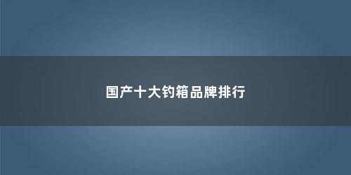 国产十大钓箱品牌排行 国产十大钓箱品牌排行(国产钓箱哪个牌子好)