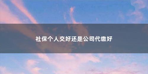 社保个人交好还是公司代缴好