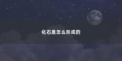 化石是怎么形成的