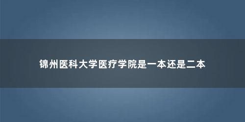 锦州医科大学医疗学院是一本还是二本