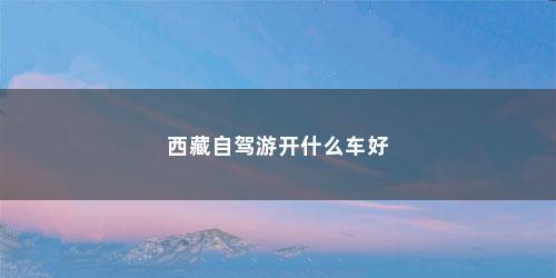 西藏自驾游开什么车好