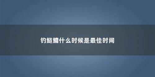 钓鲢鳙什么时候是最佳时间