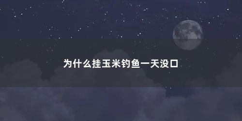 为什么挂玉米钓鱼一天没口