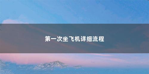 第一次坐飞机详细流程