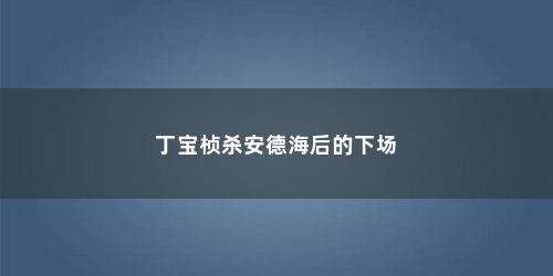 丁宝桢杀安德海后的下场