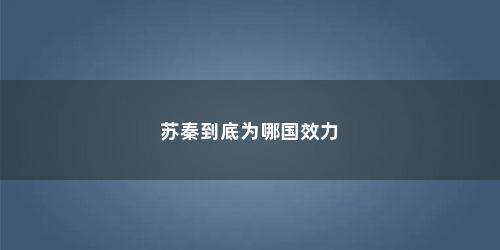 苏秦到底为哪国效力