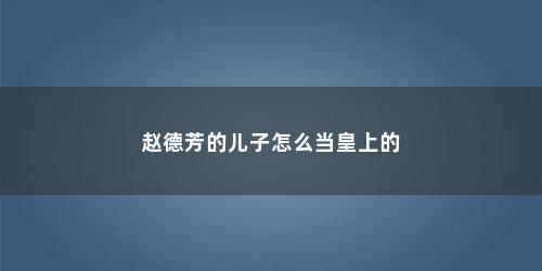 赵德芳的儿子怎么当皇上的