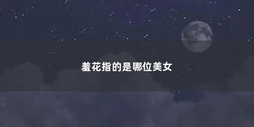 羞花指的是哪位美女