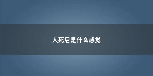 人死后是什么感觉