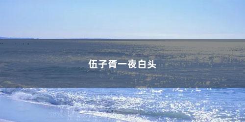 伍子胥一夜白头 伍子胥一夜白头(伍子胥一夜白头的故事主要内容)