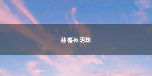 慈禧夜明珠