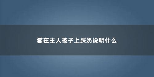 猫在主人被子上踩奶说明什么