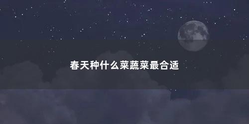 春天种什么菜蔬菜最合适