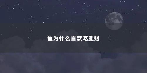 鱼为什么喜欢吃蚯蚓