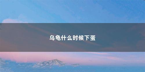 乌龟什么时候下蛋