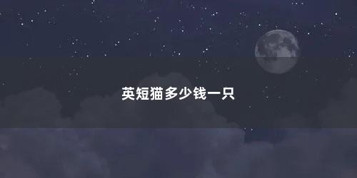 英短猫多少钱一只