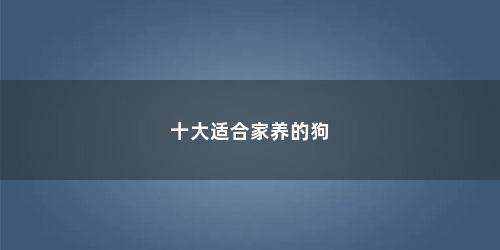 十大适合家养的狗