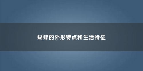 蝴蝶的外形特点和生活特征