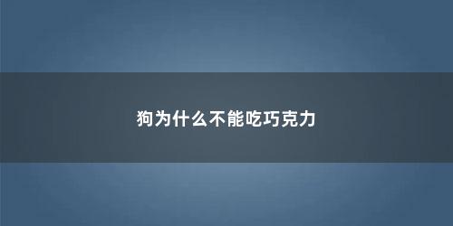 狗为什么不能吃巧克力