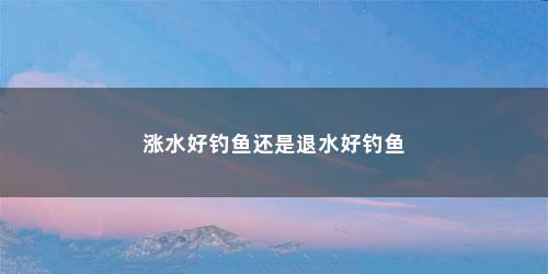 涨水好钓鱼还是退水好钓鱼