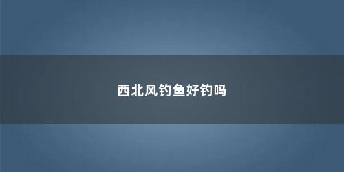 西北风钓鱼好钓吗