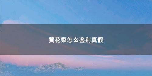 黄花梨怎么鉴别真假