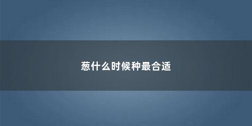 葱什么时候种最合适