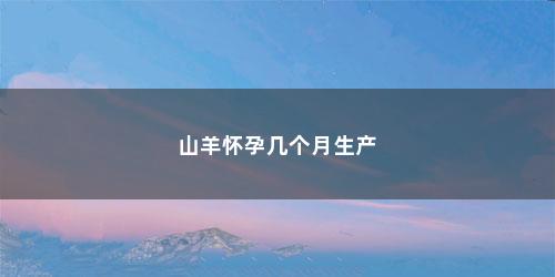 山羊怀孕几个月生产