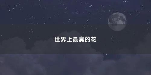 世界上最臭的花