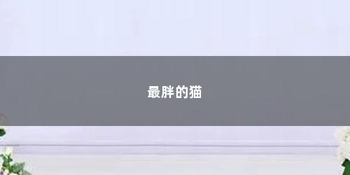 最胖的猫 最胖的猫(你见过最胖的猫是什么样子的猫)