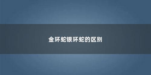 金环蛇银环蛇的区别 金环蛇银环蛇的区别(金环蛇和银环蛇是同一物种吗)
