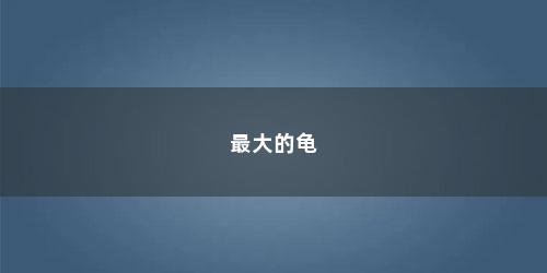 最大的龟 最大的龟