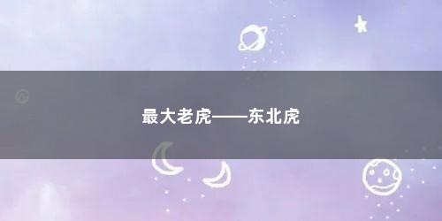 最大老虎——东北虎