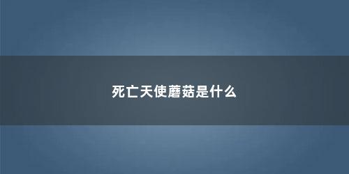 死亡天使蘑菇是什么