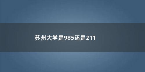 苏州大学是985还是211