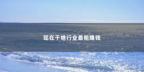 现在干啥行业最能赚钱