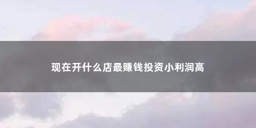 现在开什么店最赚钱投资小利润高