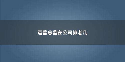 运营总监在公司排老几