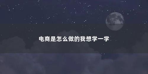 电商是怎么做的我想学一学