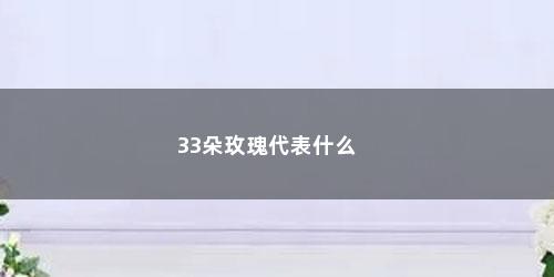 33朵玫瑰代表什么