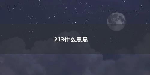 213什么意思