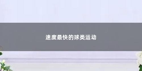 速度最快的球类运动