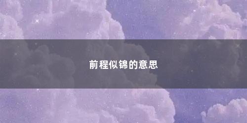前程似锦的意思